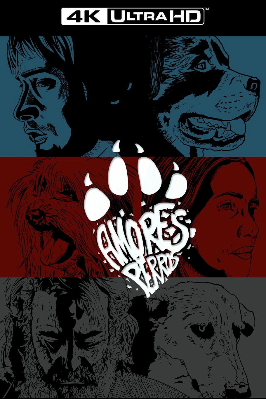Amores Perros