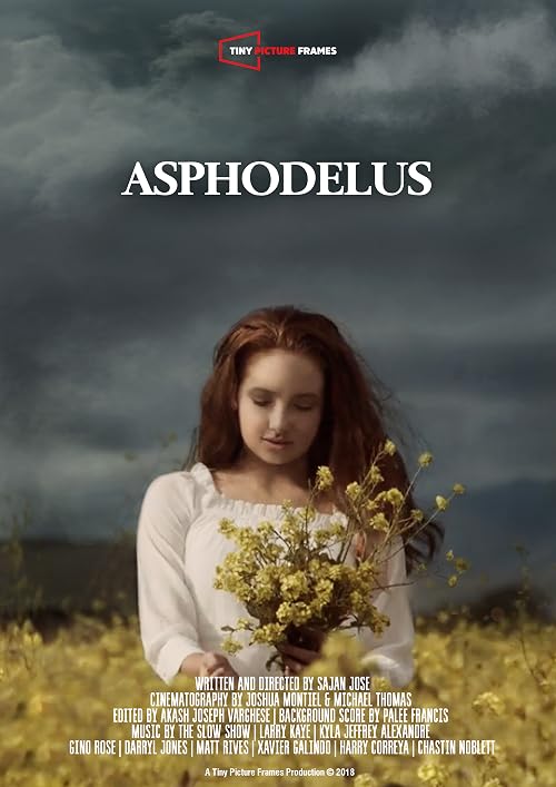 Asphodelus