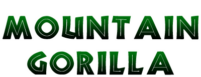 Mountain Gorilla