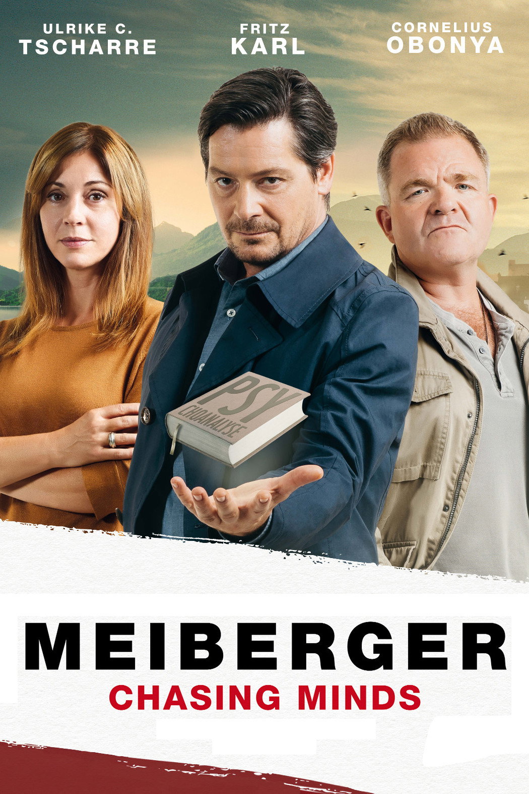 Meiberger - Im Kopf des Täters