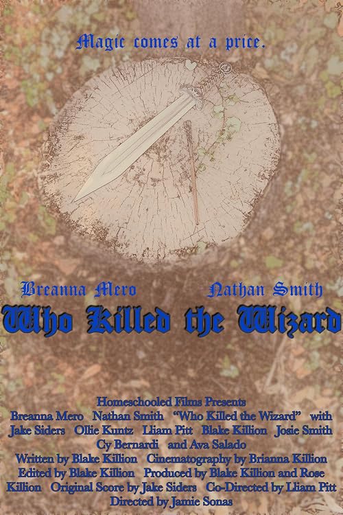 Who Killed the Wizard?