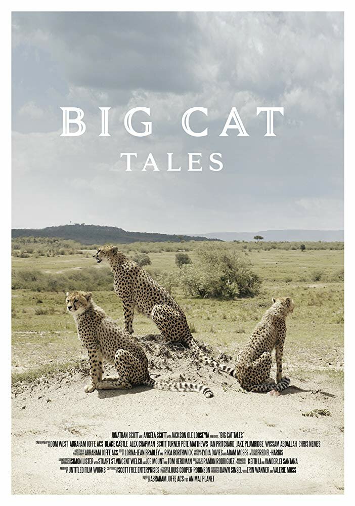 Big Cat Tales
