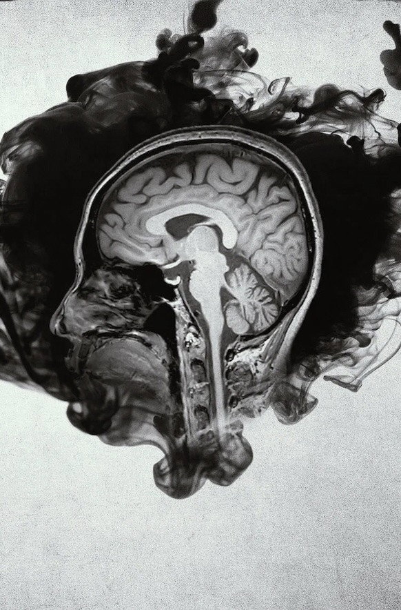 Inside the Criminal Mind