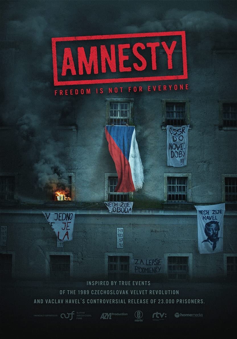 Амнистия