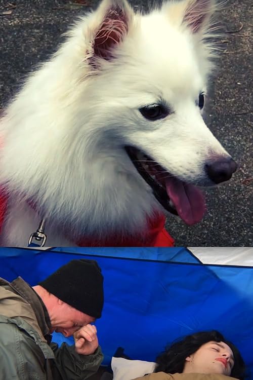 Dog with the Red Bandanna
