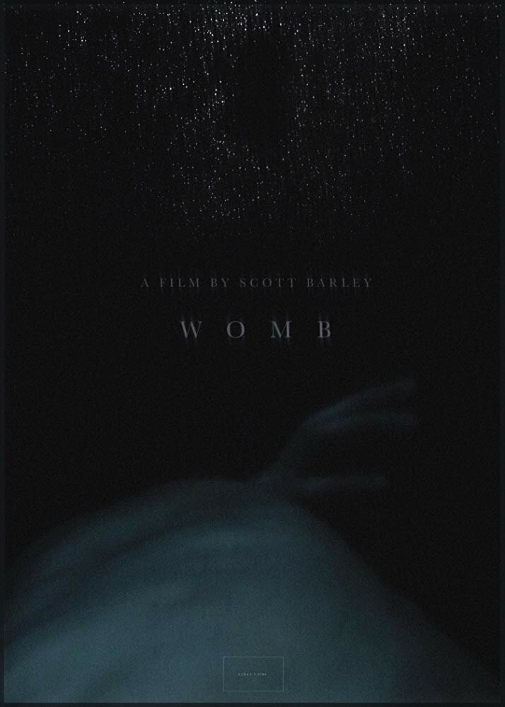 Womb