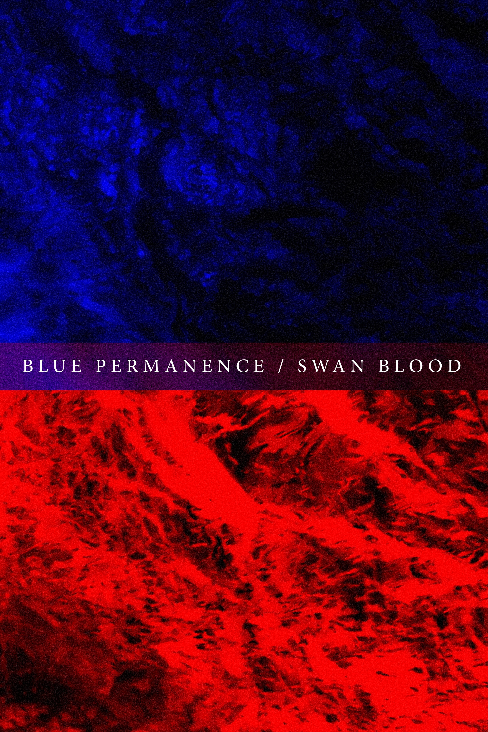 Blue Permanence/Swan Blood