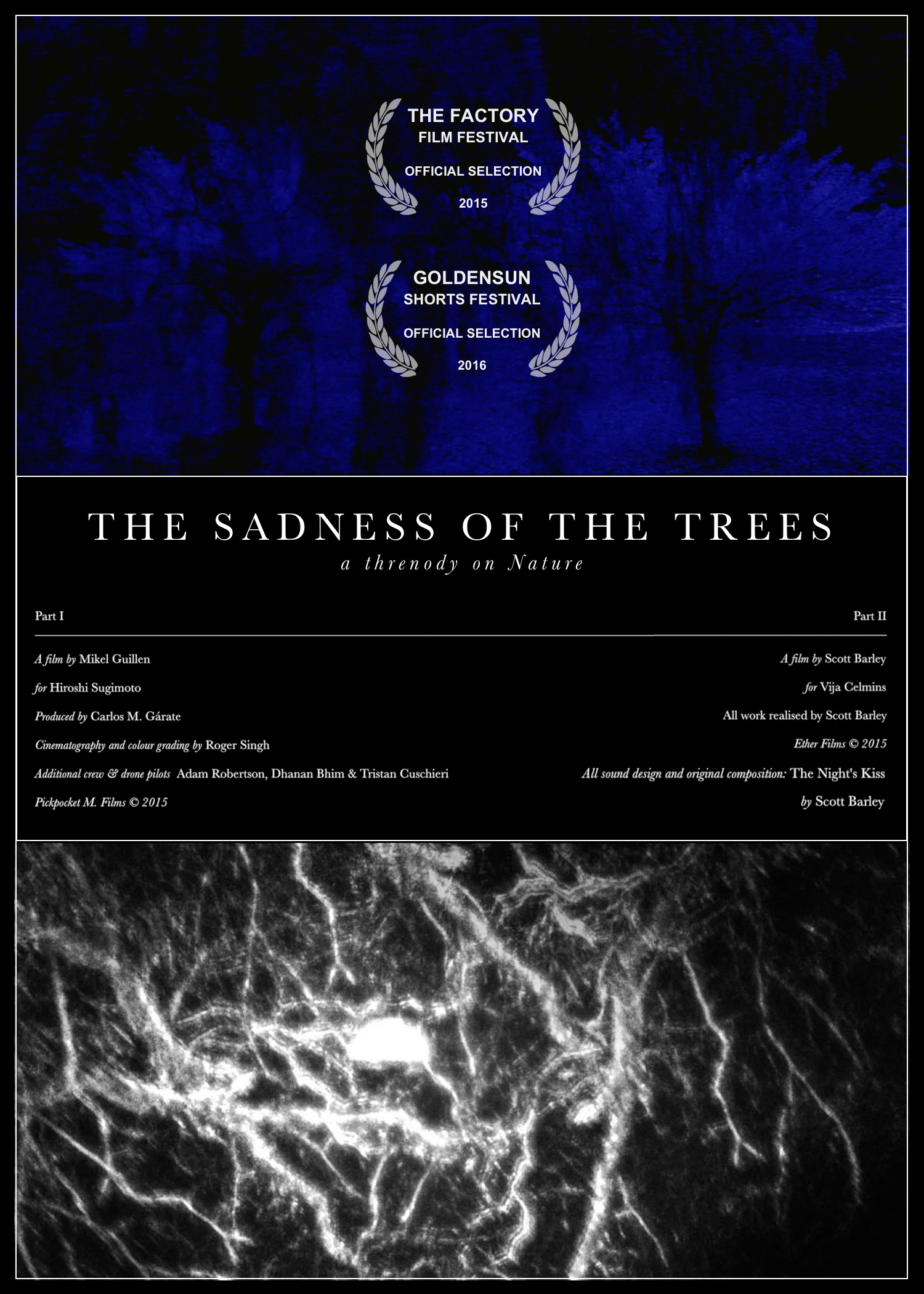 The Sadness of the Trees