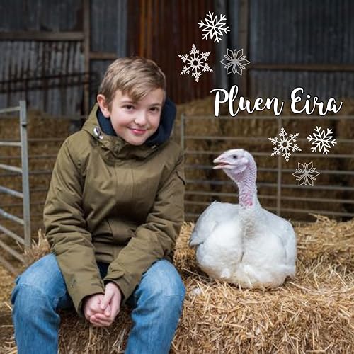 Pluen Eira
