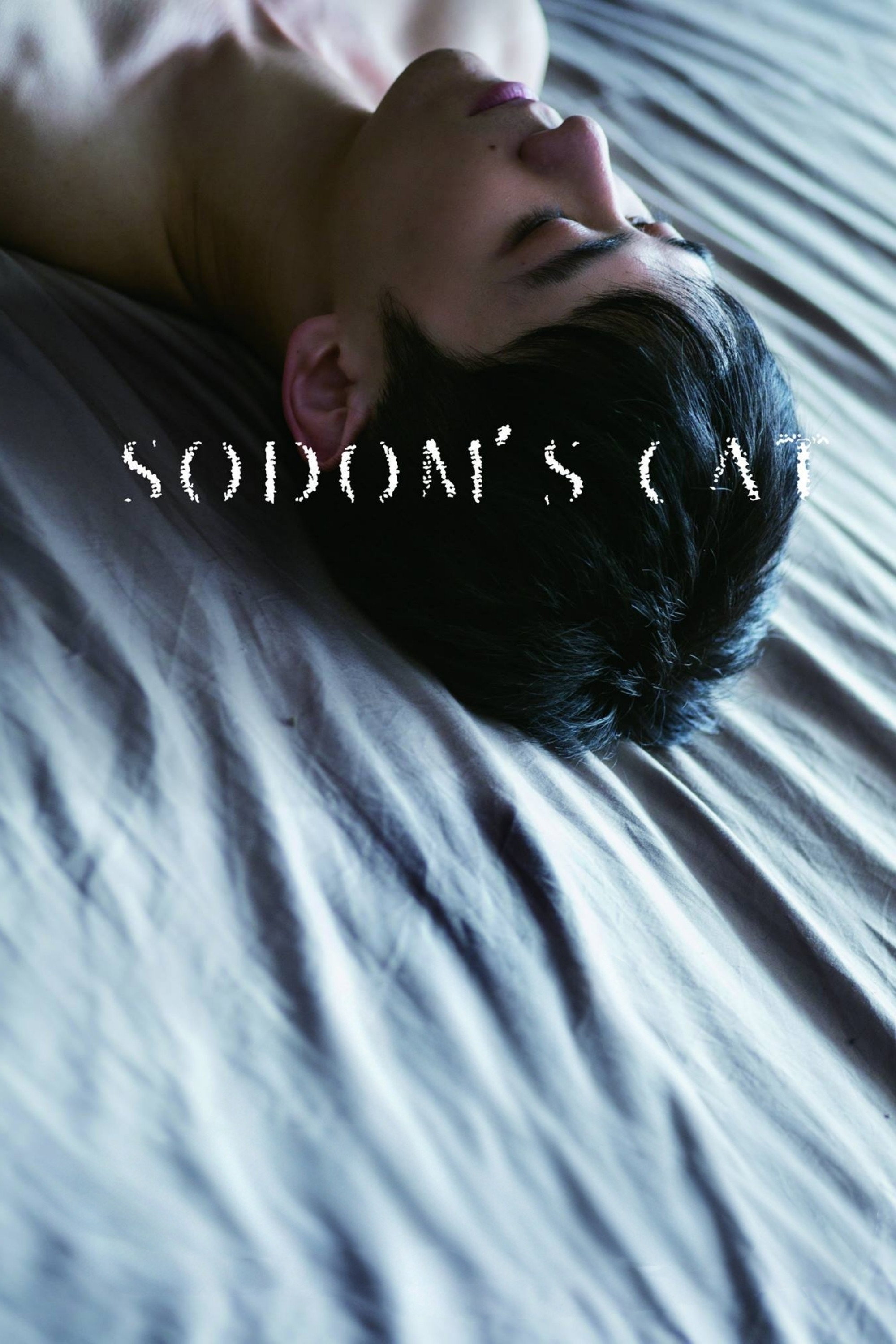 Кот Содома
