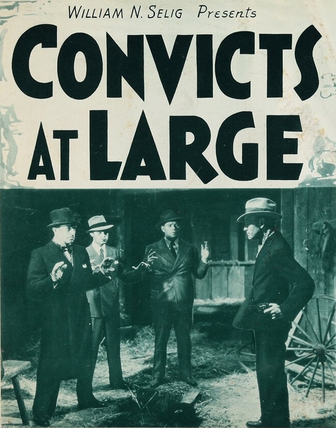 Convicts at Large