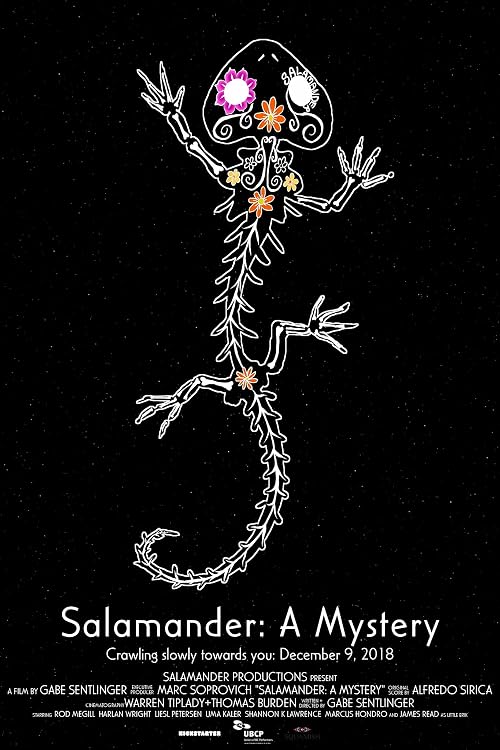 Salamander: A Mystery