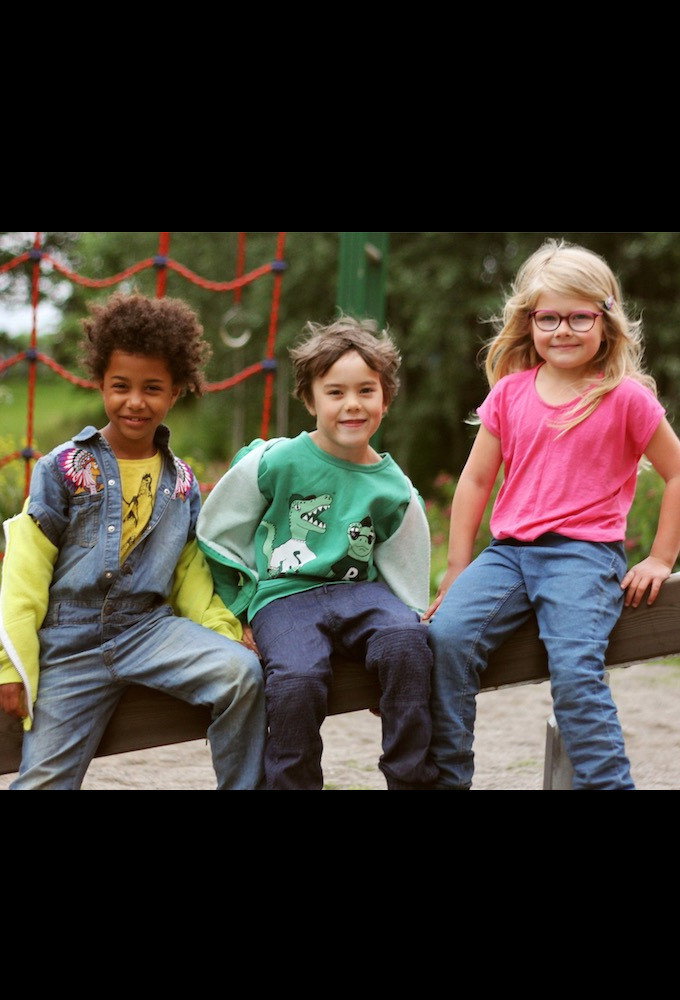 3 Venner