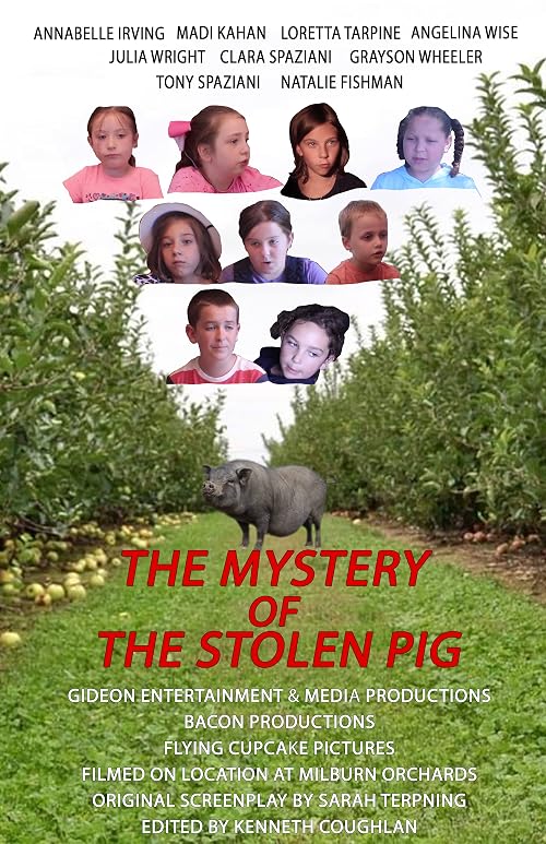 The Mystery of the Stolen Pig