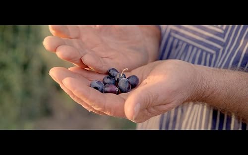 Traenen der Olive
