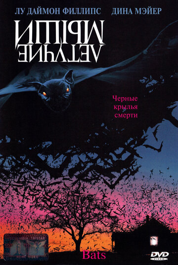 Bats - Fliegende Teufel