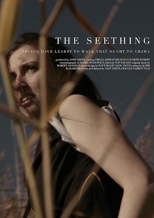 The Seething