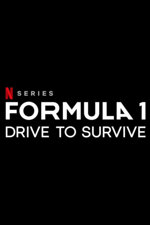 Formula 1: המרוץ לניצחון