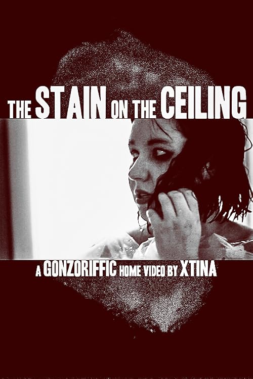 The Stain on the Ceiling
