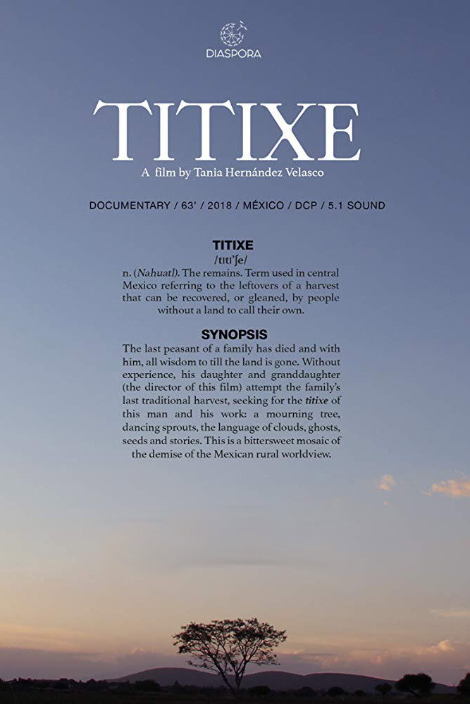 Titixe