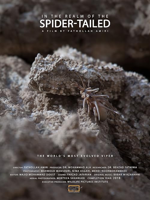 In the Realm of the Spider-tailed Viper
