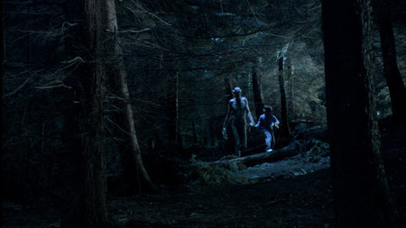 Ordan's Forest