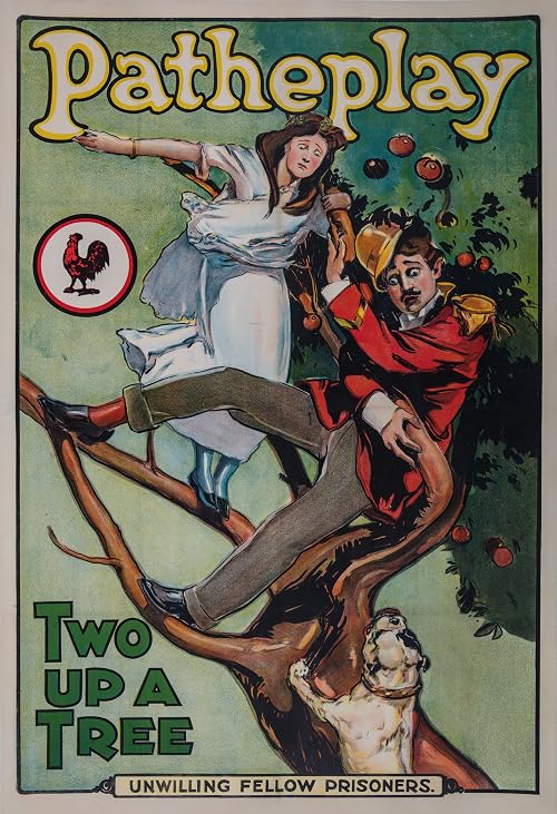 Two Up a Tree