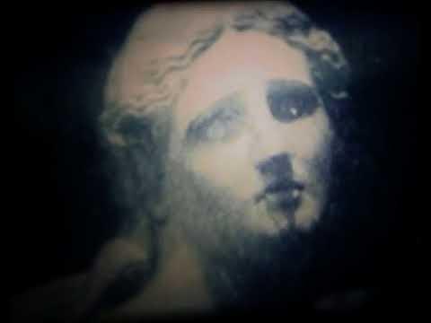 Niobe, arrangement vidéo, 1982-2017