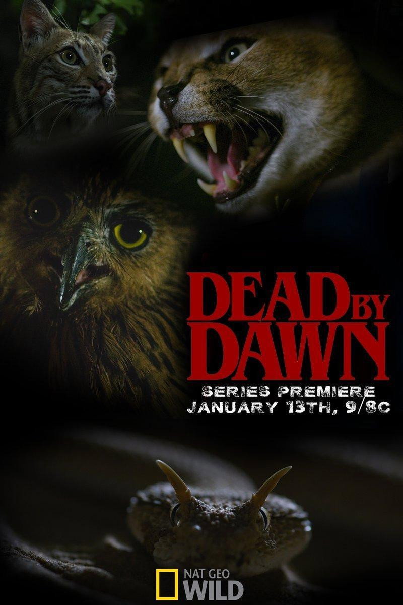 Dead by Dawn