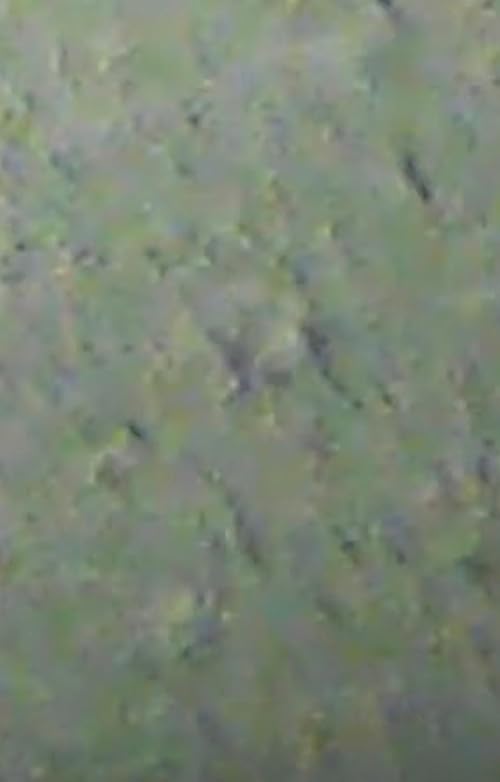 Popcorn Zoom