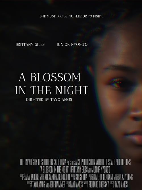 A Blossom in the Night