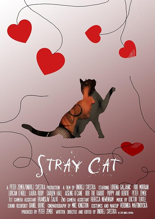 Stray Cat