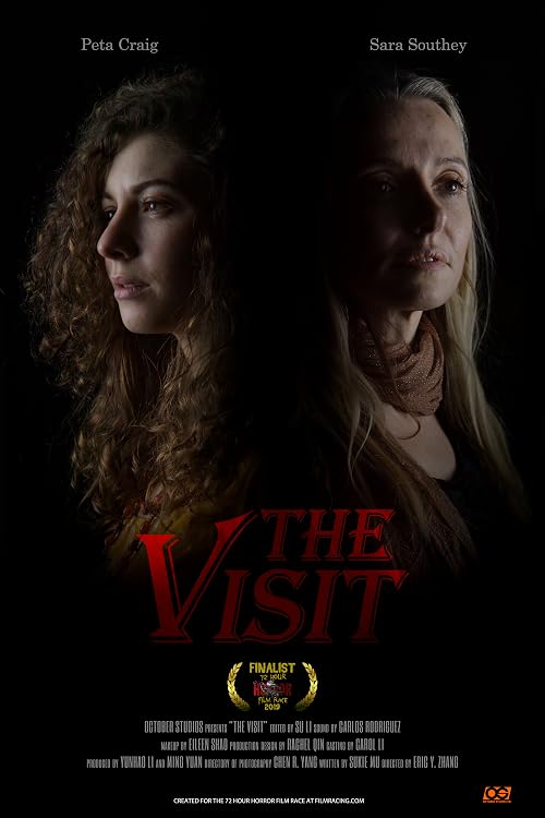 The Visit