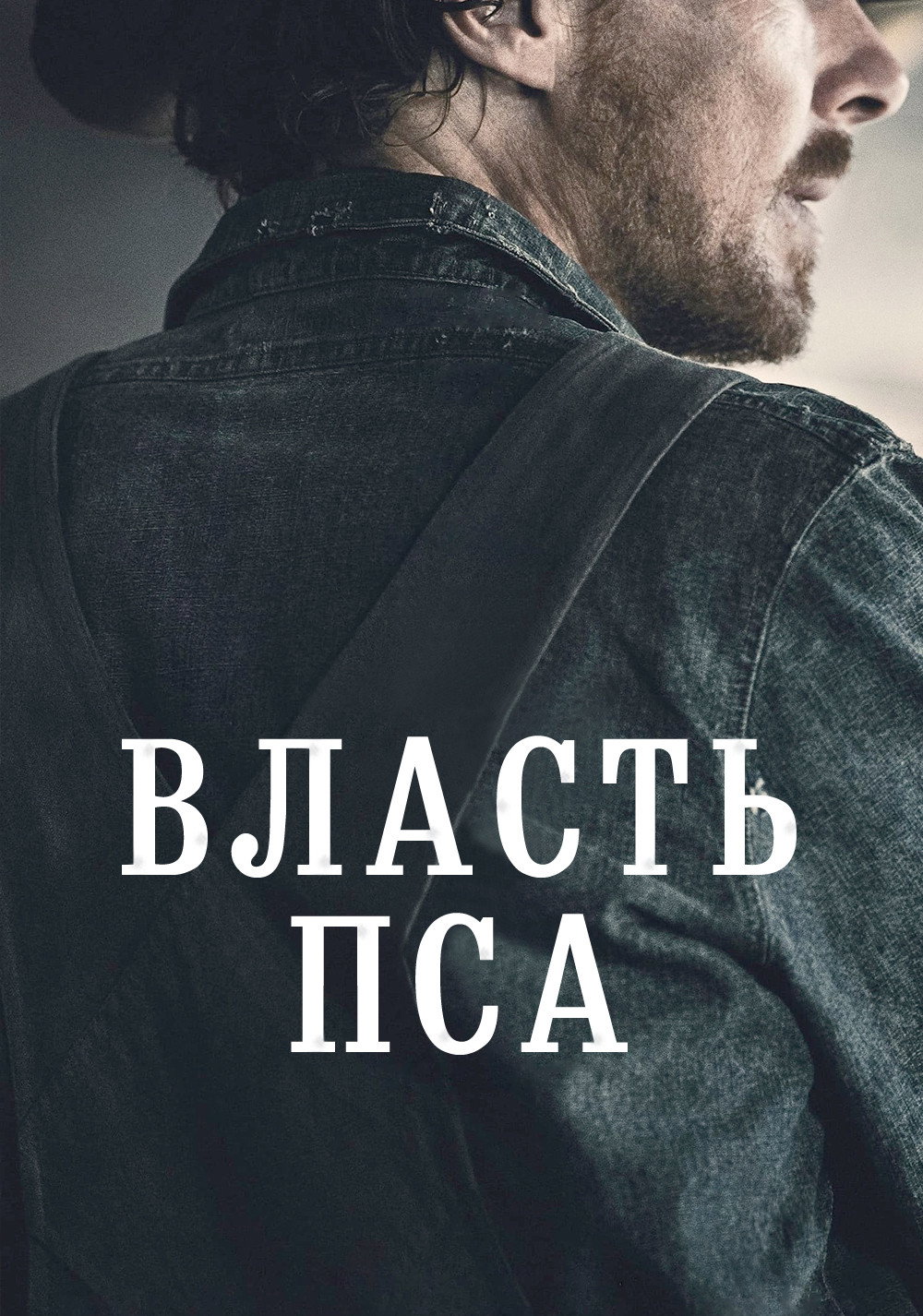 Власть пса
