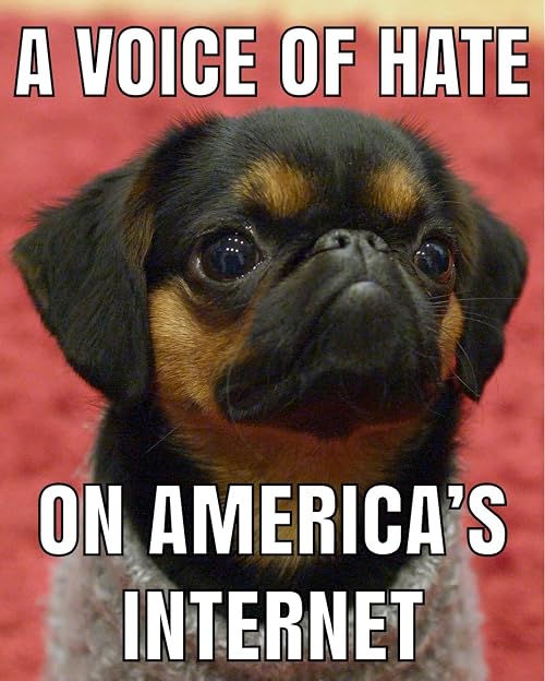 A Voice of Hate on America's Internet