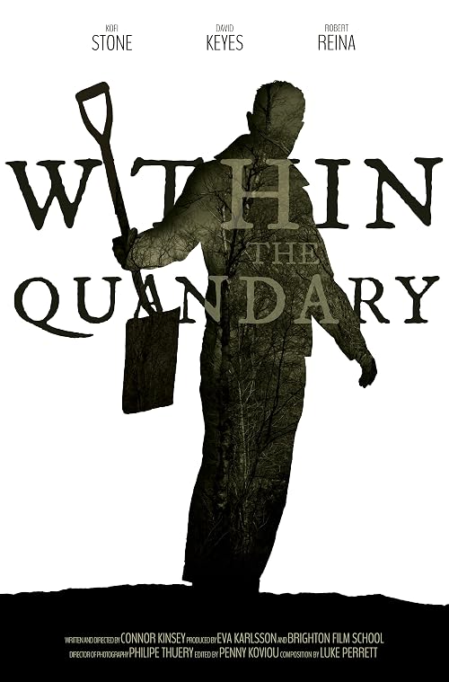 Within the Quandary