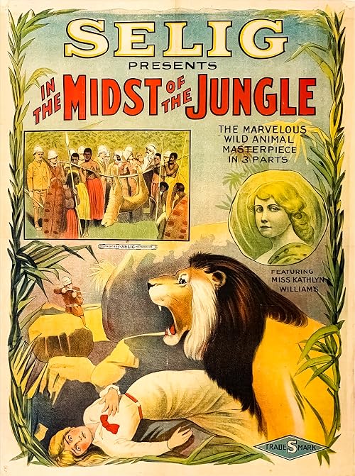 In the Midst of the Jungle