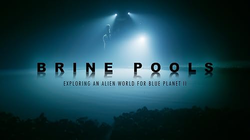 Brine Pools: Exploring an Alien World