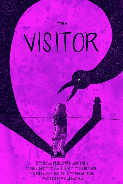The Visitor