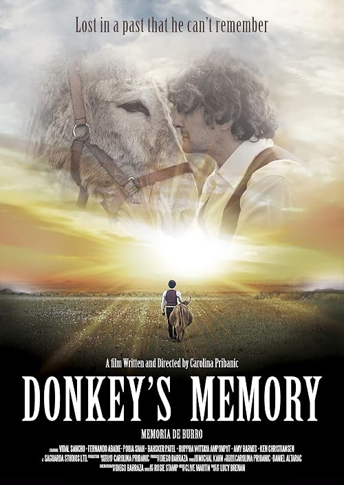 Donkey's Memory