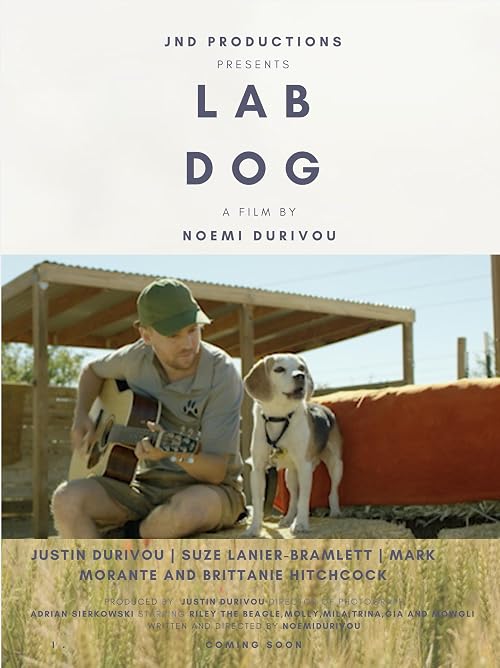 Lab Dog