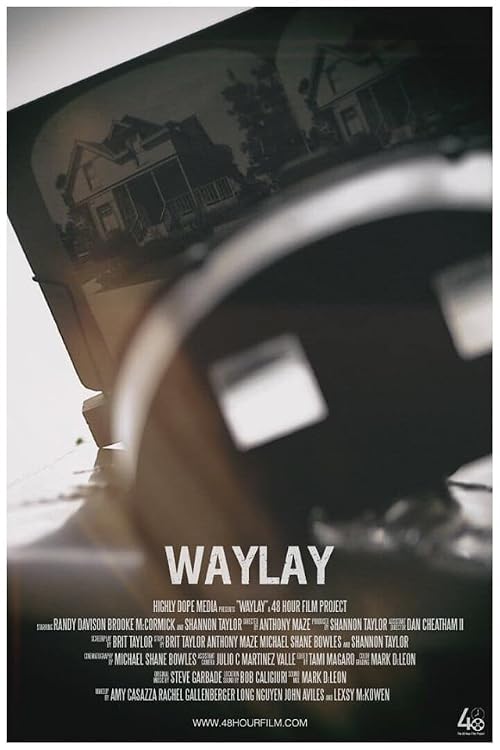 Waylay