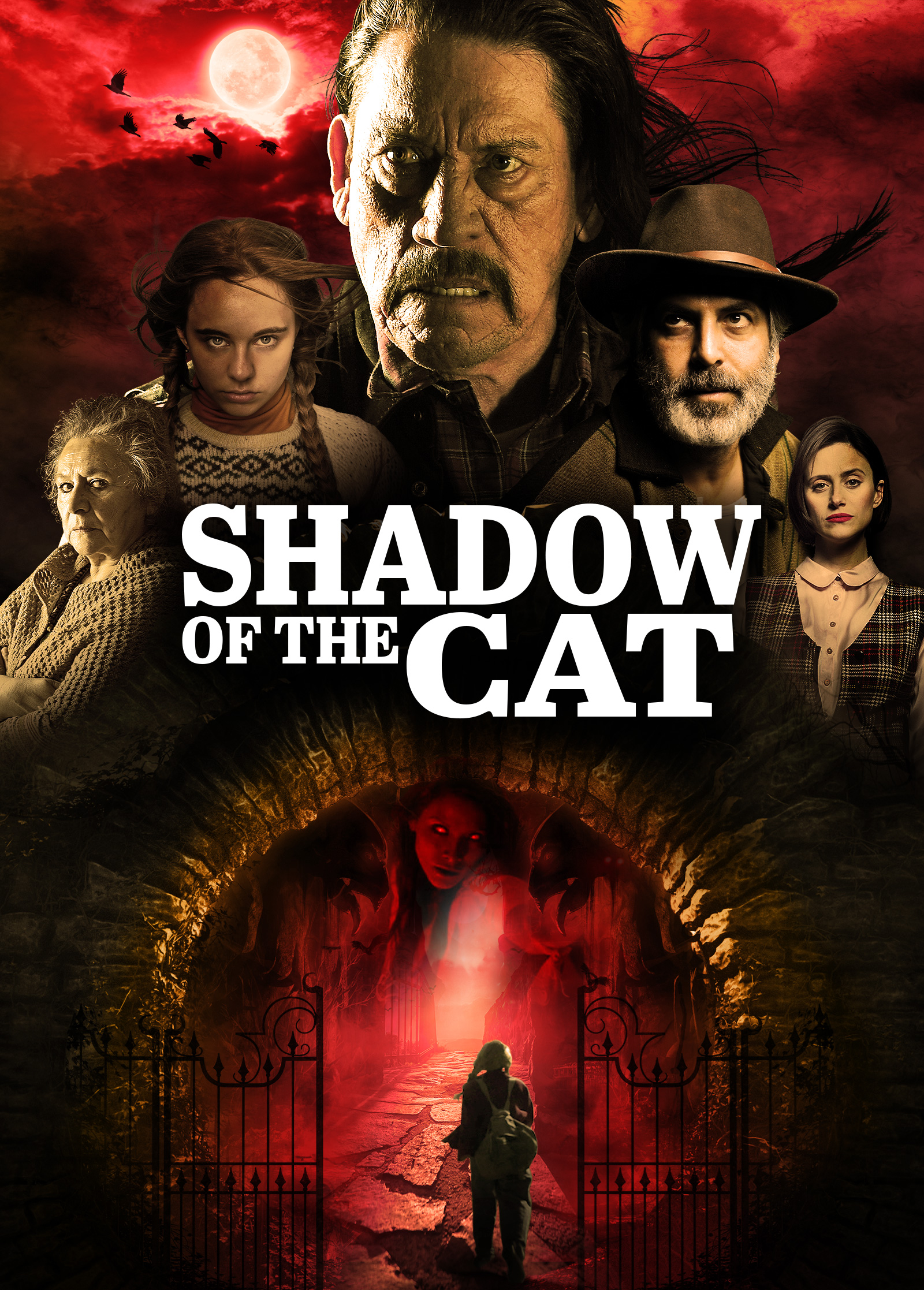 La Sombra Del Gato