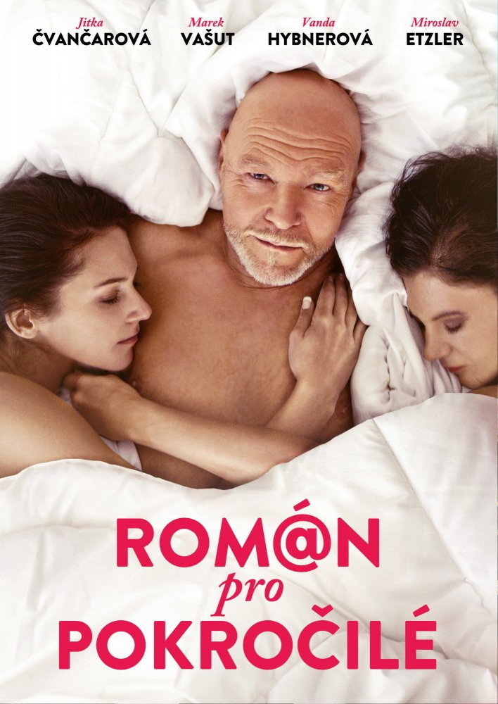 Román pro pokrocilé