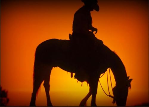 A Horse with No Name