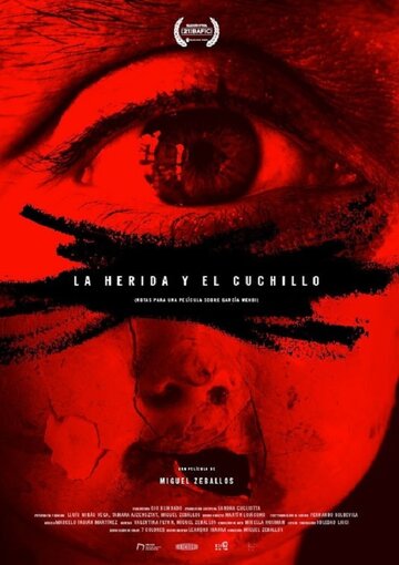 La herida y el cuchillo (Notas para un film sobre Emilio García Wehbi)
