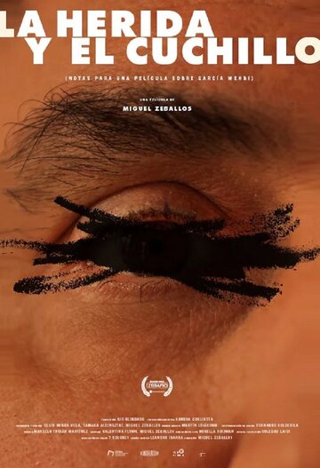 La herida y el cuchillo (Notas para un film sobre Emilio García Wehbi)