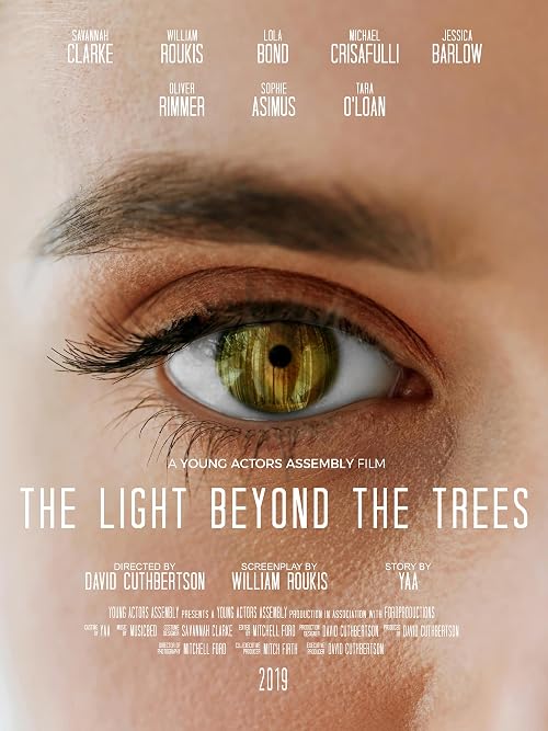 The Light Beyond the Trees