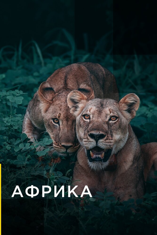 Africa