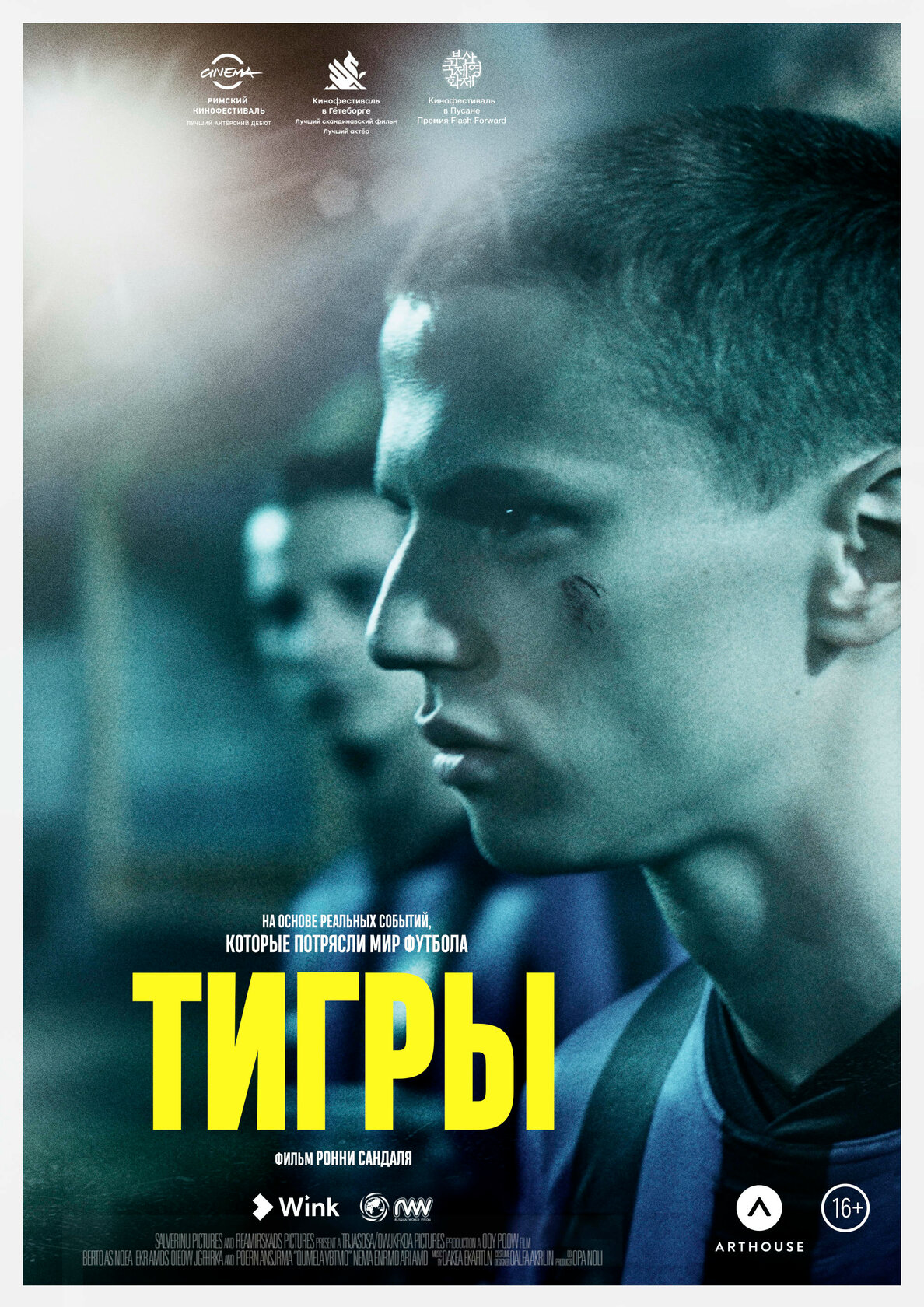 Tigrar